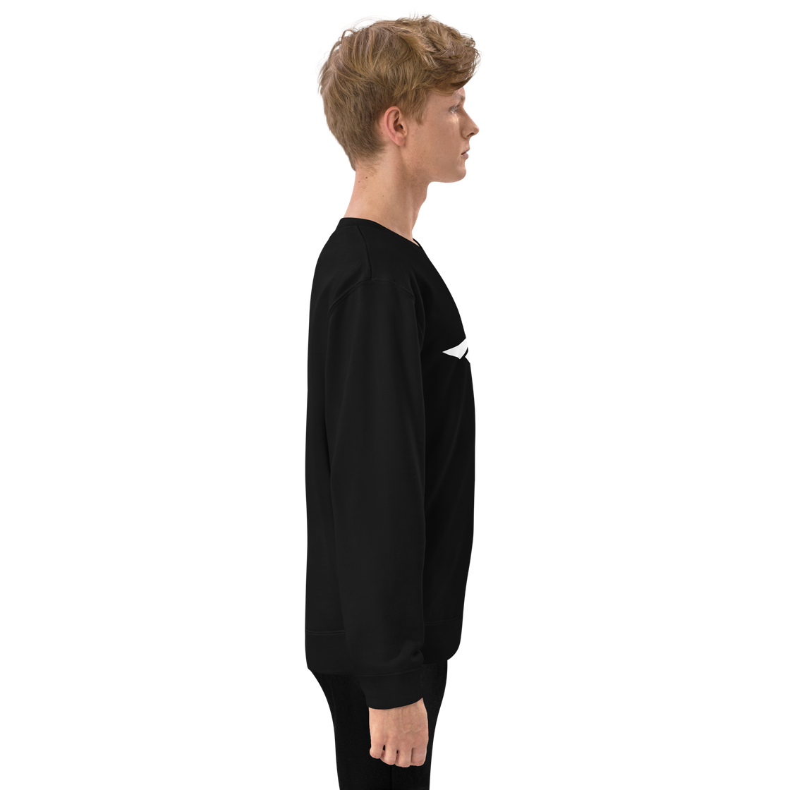 FLY³ french terry sweatshirt | Flycube